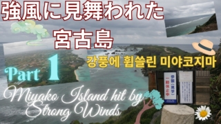 Thumbnail of post image 131